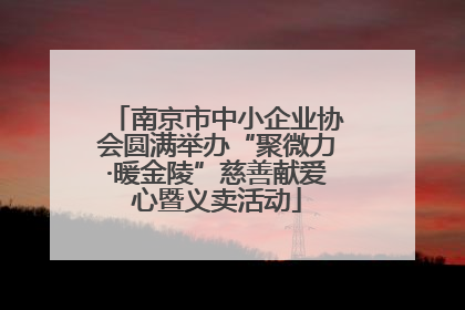 南京市中小企业协会圆满举办“聚微力·暖金陵”慈善献爱心暨义卖活动