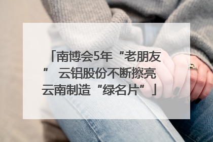 南博会5年“老朋友” 云铝股份不断擦亮云南制造“绿名片”