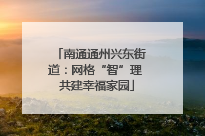 南通通州兴东街道：网格“智”理 共建幸福家园
