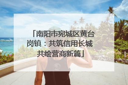 南阳市宛城区黄台岗镇：共筑信用长城 共绘营商新篇