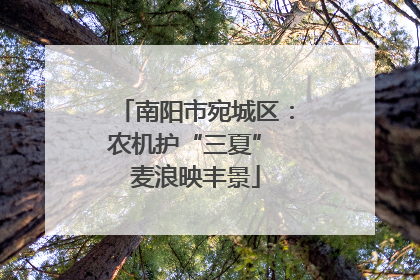 南阳市宛城区：农机护“三夏” 麦浪映丰景