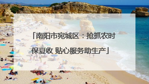 南阳市宛城区：抢抓农时保夏收 贴心服务助生产