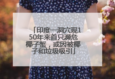印度一洞穴现150年来首只濒危椰子蟹，或因被椰子和垃圾吸引