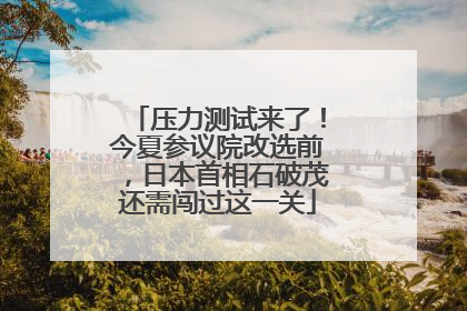 压力测试来了！今夏参议院改选前，日本首相石破茂还需闯过这一关