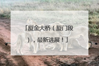 厦金大桥（厦门段），最新进展！