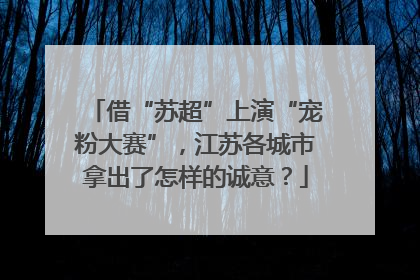 借“苏超”上演“宠粉大赛”，江苏各城市拿出了怎样的诚意？