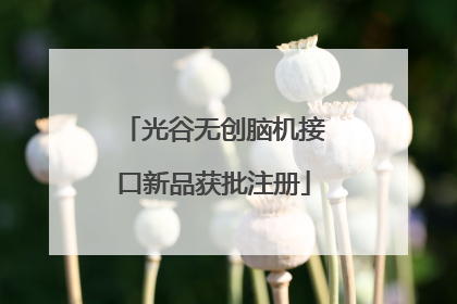 光谷无创脑机接口新品获批注册