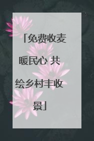 免费收麦暖民心 共绘乡村丰收景