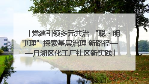 党建引领多元共治 “聪・明事理”探索基层治理 新路径——月湖区化工厂社区新实践