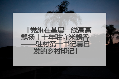 党旗在基层一线高高飘扬丨十年驻守米飘香——驻村第一书记莫日发的乡村印记