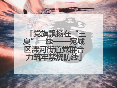 党旗飘扬在“三夏”一线——宛城区溧河街道党群合力筑牢禁烧防线