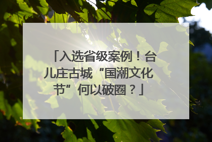 入选省级案例！台儿庄古城“国潮文化节”何以破圈？