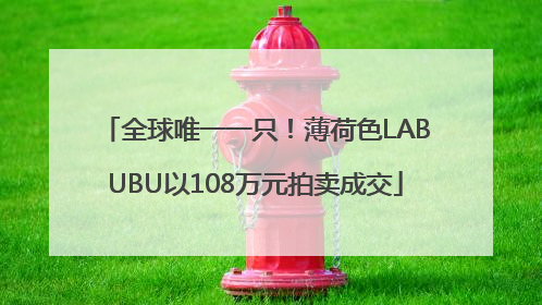 全球唯一一只！薄荷色LABUBU以108万元拍卖成交
