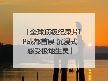 全球顶级纪录片IP成都首展 沉浸式感受极地生灵