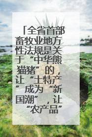 全省首部畜牧业地方性法规是关于“中华熊猫猪”的，让“土特产”成为“新国潮”，让“农产品”升格为“城市IP”