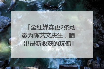 全红婵连更2条动态为陈艺文庆生，晒出最新收获的玩偶