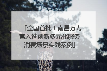 全国首批！南昌万寿宫入选创新多元化服务消费场景实践案例