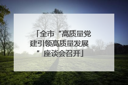 全市“高质量党建引领高质量发展”座谈会召开