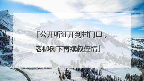 公开听证开到村门口，老柳树下再续叔侄情