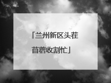 兰州新区头茬苜蓿收割忙