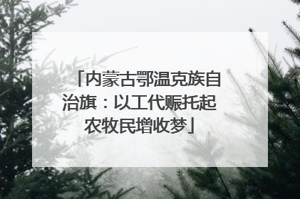内蒙古鄂温克族自治旗：以工代赈托起农牧民增收梦