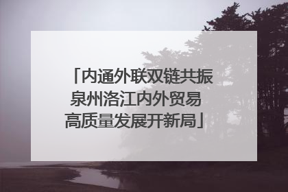 内通外联双链共振 泉州洛江内外贸易高质量发展开新局