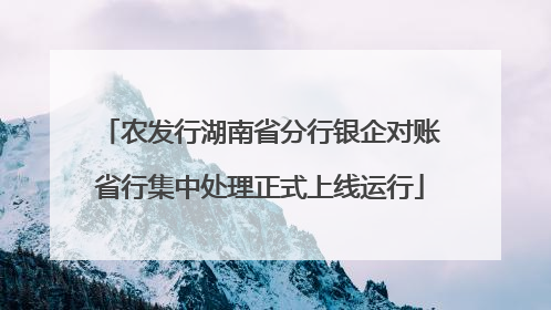 农发行湖南省分行银企对账省行集中处理正式上线运行