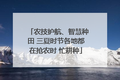 农技护航、智慧种田 三夏时节各地都在抢农时 忙耕种
