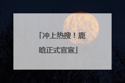 冲上热搜！鹿晗正式官宣