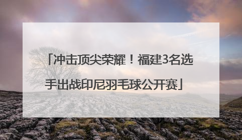 冲击顶尖荣耀！福建3名选手出战印尼羽毛球公开赛