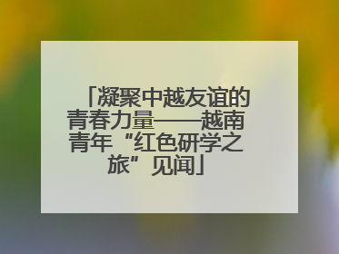凝聚中越友谊的青春力量——越南青年“红色研学之旅”见闻