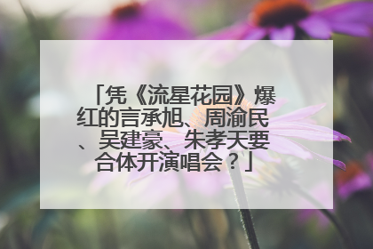 凭《流星花园》爆红的言承旭、周渝民、吴建豪、朱孝天要合体开演唱会？
