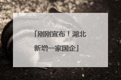 刚刚宣布！湖北新增一家国企