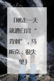 刚走一天就遭白宫“背刺”，马斯克：很失望