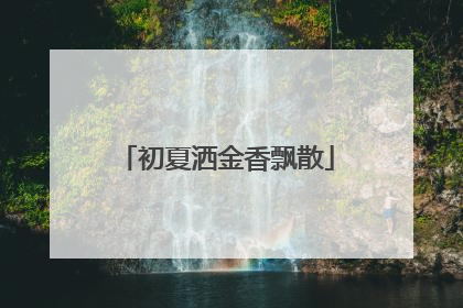 初夏洒金香飘散