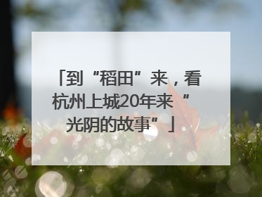 到“稻田”来，看杭州上城20年来“光阴的故事”