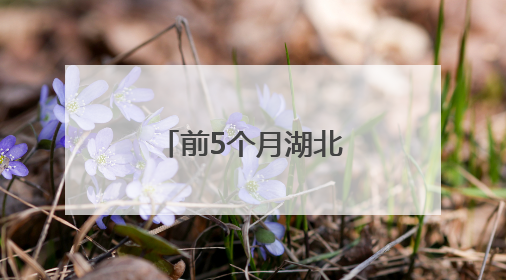 前5个月湖北省进出口同比增长26.9%