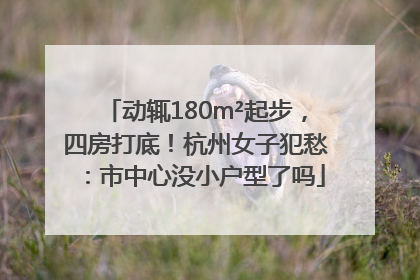 动辄180m²起步，四房打底！杭州女子犯愁：市中心没小户型了吗
