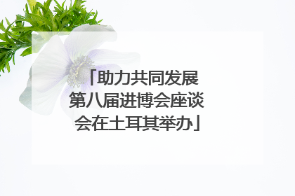 助力共同发展 第八届进博会座谈会在土耳其举办