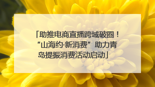 助推电商直播跨域破圈！“山海约·新消费”助力青岛提振消费活动启动
