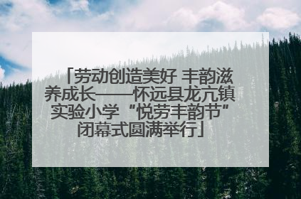 劳动创造美好 丰韵滋养成长——怀远县龙亢镇实验小学“悦劳丰韵节”闭幕式圆满举行