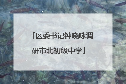 区委书记钟晓咏调研市北初级中学