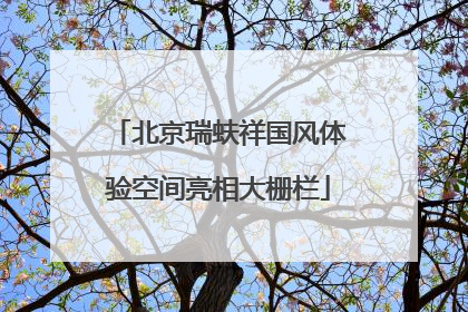 北京瑞蚨祥国风体验空间亮相大栅栏