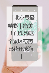 北京号最精彩｜绝美！门头沟这个景区芍药已花开成海