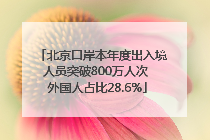 北京口岸本年度出入境人员突破800万人次 外国人占比28.6%