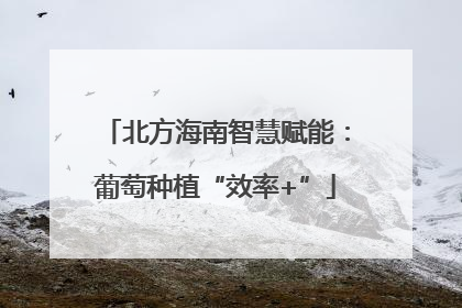 北方海南智慧赋能：葡萄种植“效率+”