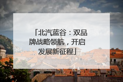 北汽蓝谷：双品牌战略领航，开启发展新征程