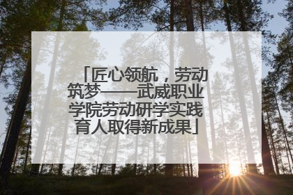匠心领航，劳动筑梦——武威职业学院劳动研学实践育人取得新成果