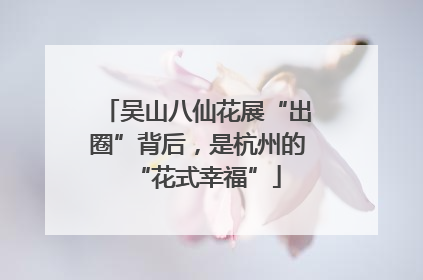吴山八仙花展“出圈”背后，是杭州的“花式幸福”