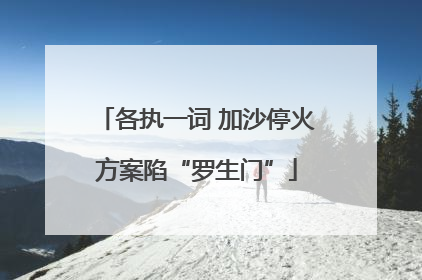 各执一词 加沙停火方案陷“罗生门”